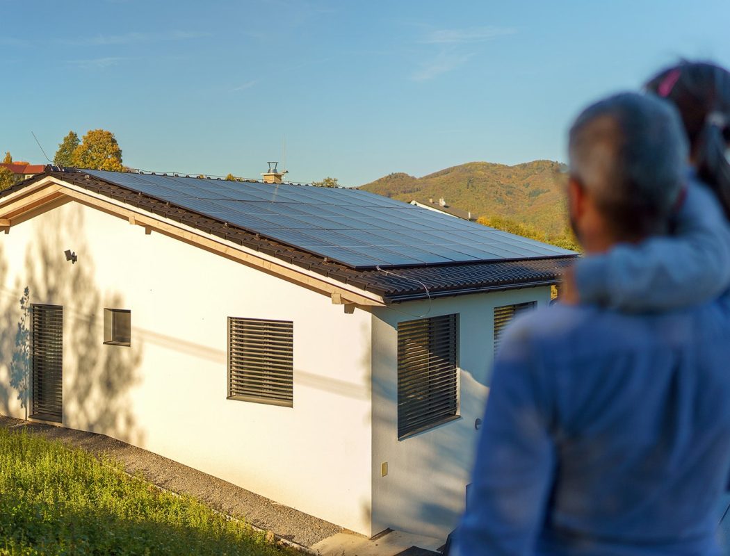 Un père et son enfant regardent des panneaux solaires - Solutions d'énergie verte en gros - Allimex Green Power